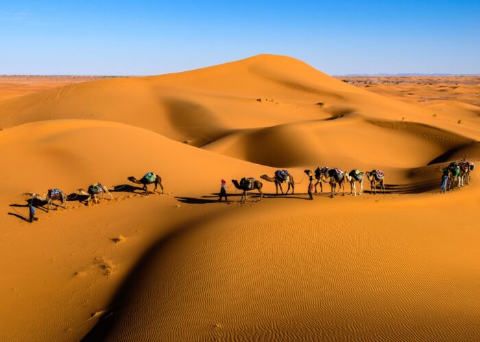 6 Days from Fes to Marrakech via Desert